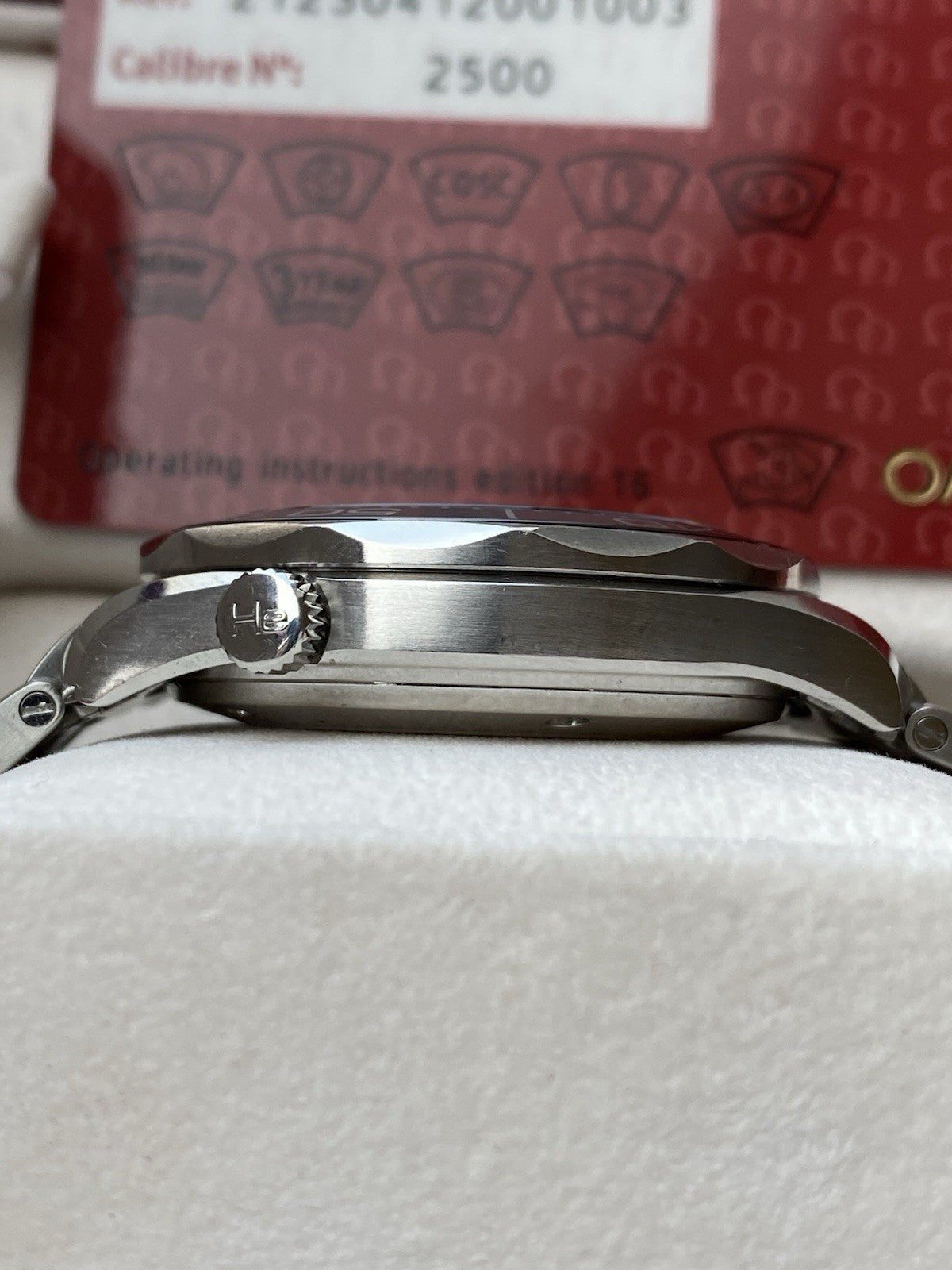 Omega Seamaster Professional 300M Co-Axial Watch